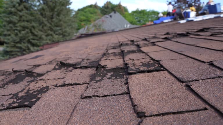 Best Gutter Installation and Repair  in Lanark, IL