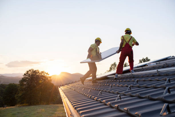 Best Roof Repair  in Lanark, IL