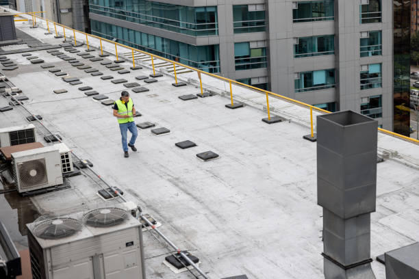 Best Roof Maintenance and Cleaning  in Lanark, IL
