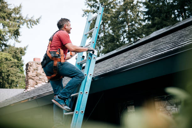 Best Rubber Roofing (EPDM, TPO)  in Lanark, IL